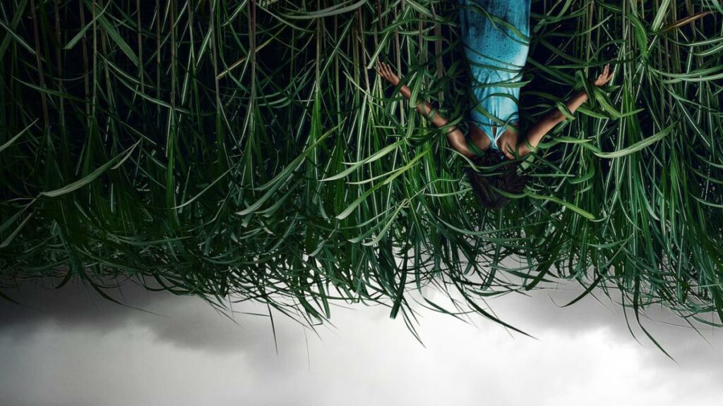 Dans les hautes herbes, regardez un film déchirant de Netflix