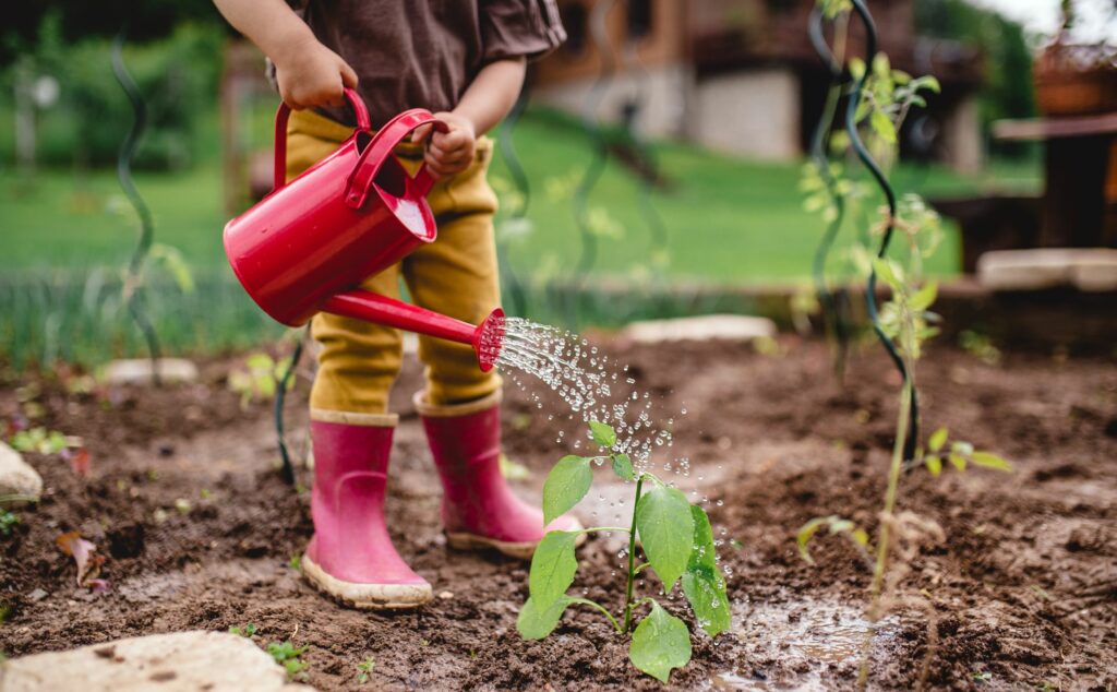 8 meilleures applications d'identification des plantes pour 2022