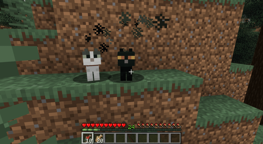 Comment apprivoiser un chat dans Minecraft