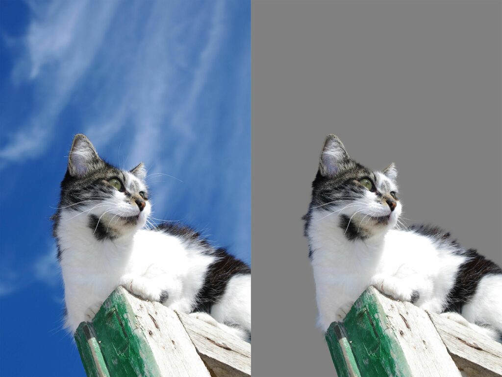 Comment utiliser l'outil Affiner les bords dans Photoshop