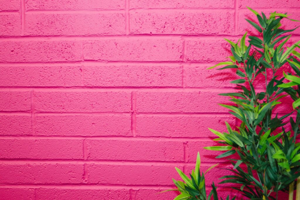 De quelle couleur est le fushia ?Symbolisme et utilisation dans le design