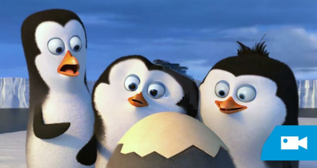 Pingouin de Madagascar les 5 premières minutes de son enfance