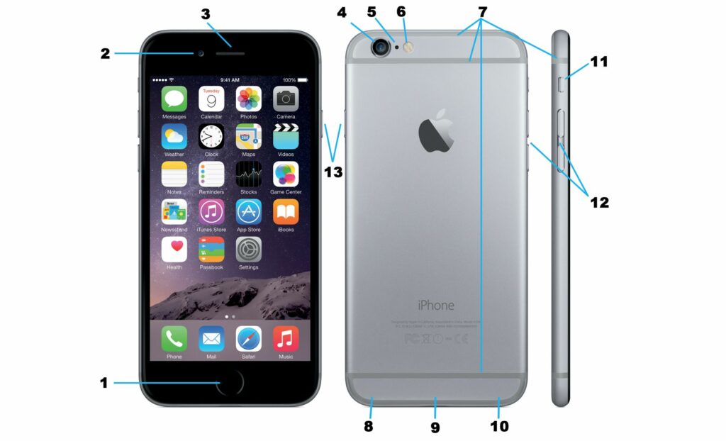 Toutes les fonctionnalités matérielles de l'iPhone 6 et de l'iPhone 6 Plus expliquées