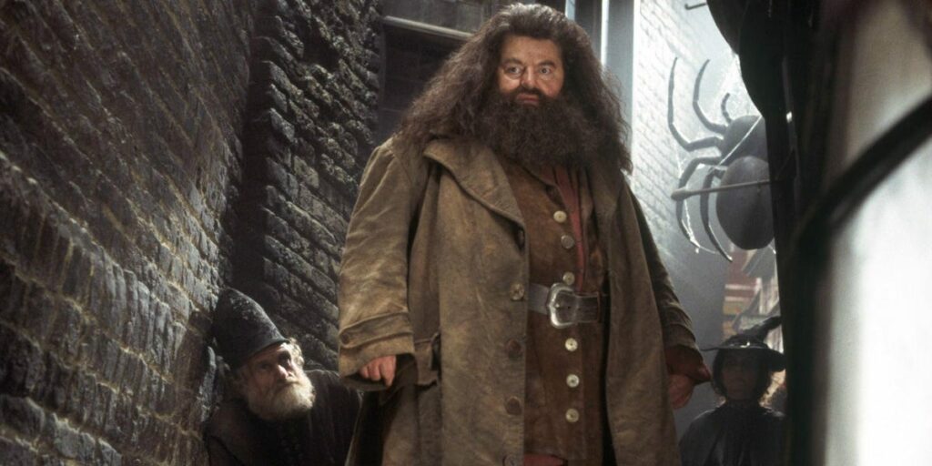 "Harry Potter": Hagrid a toujours été un mangemort et nous en avons la preuve