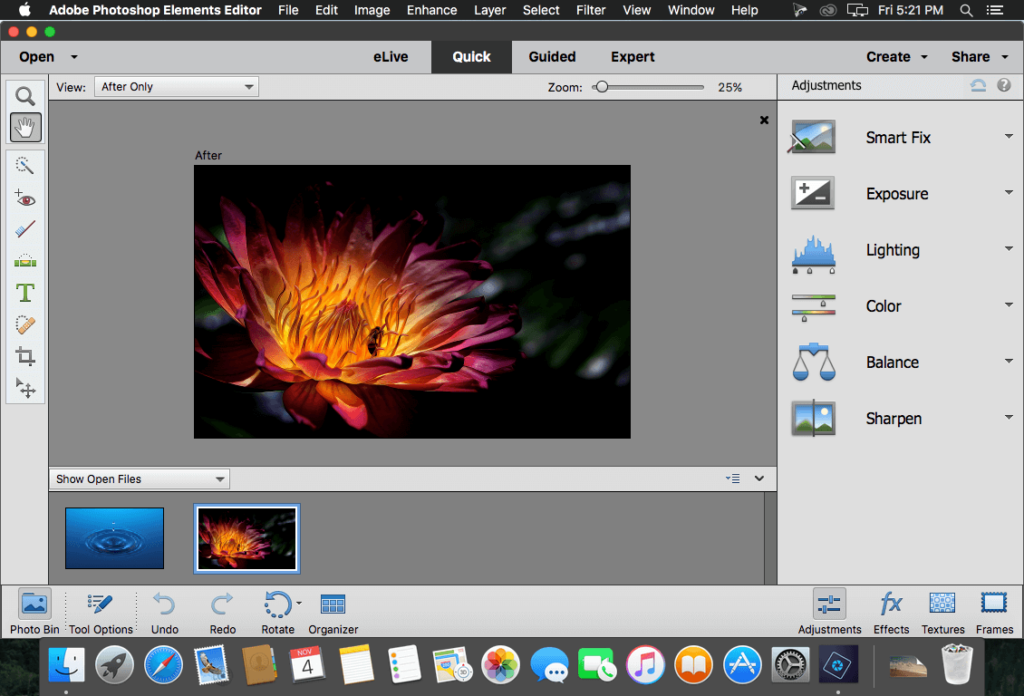 Comment installer Adobe Photoshop Element 10 ?