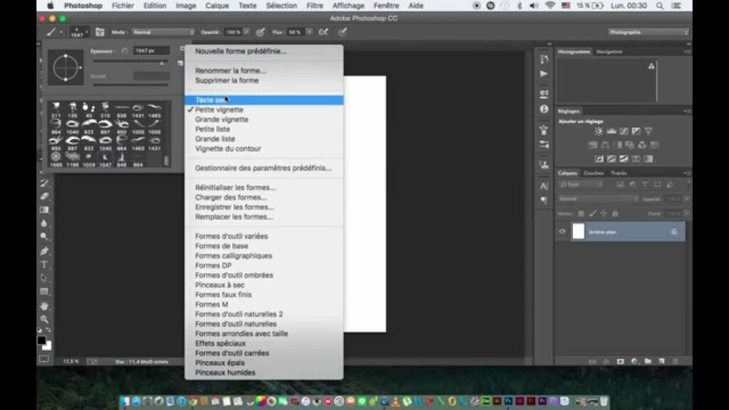 Comment installer des brush sur Photoshop 2021 ?