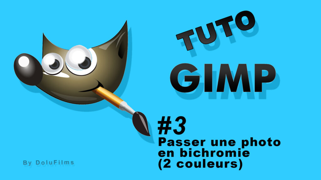 Comment mettre GIMP en couleur ?