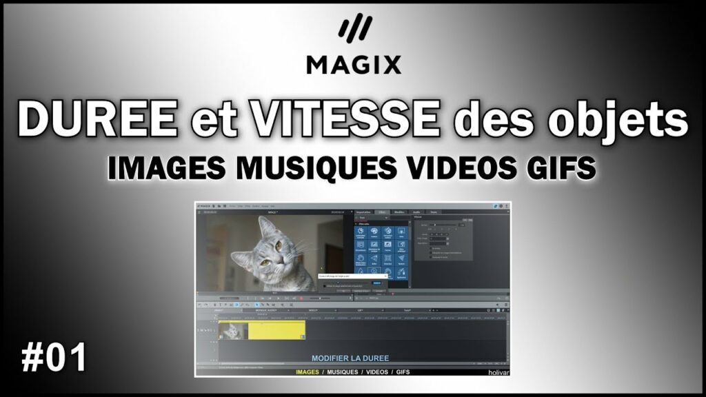 Comment modifier vitesse GIF ?