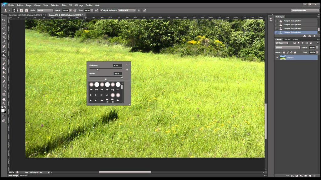 Comment utiliser le tampon de duplication dans Photoshop ?
