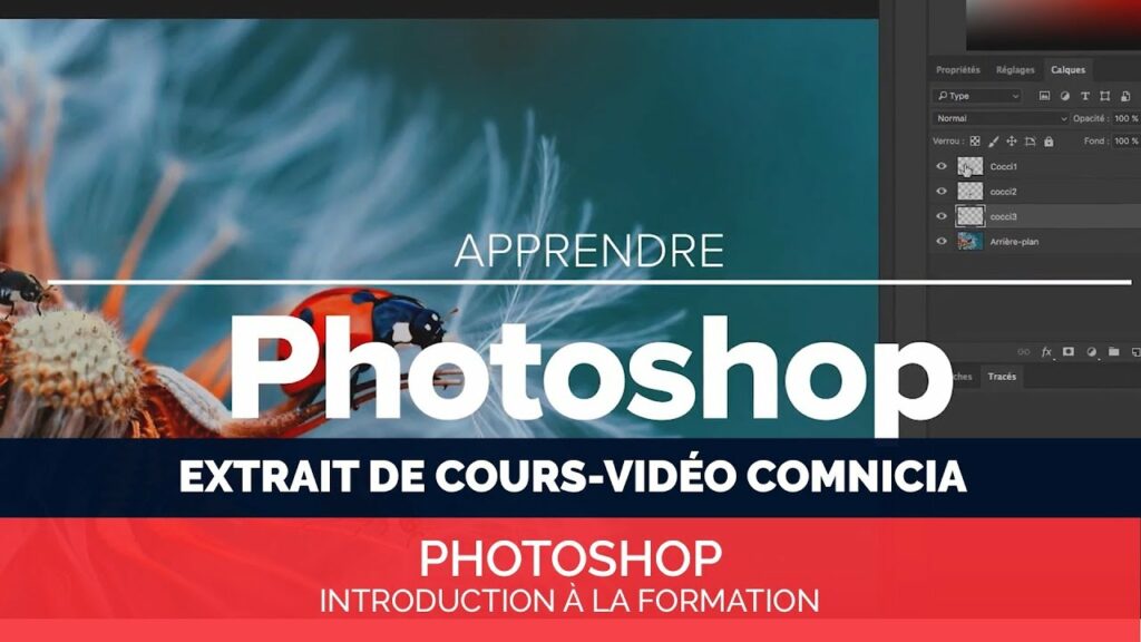 Pourquoi apprendre Photoshop ?