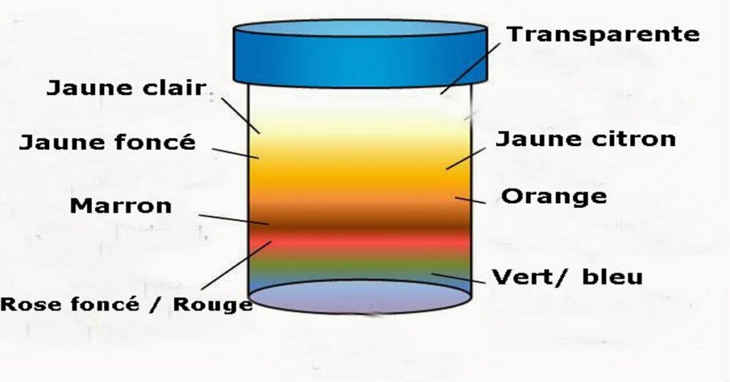 Quelle est la couleur transparente ?