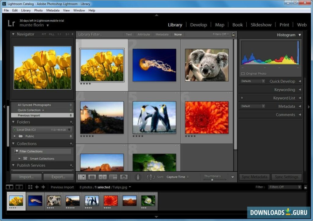 Which Photoshop version is best for Windows 10?