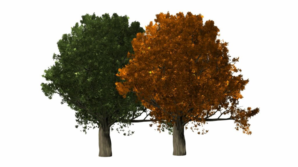 Comment faire des arbres dans Photoshop