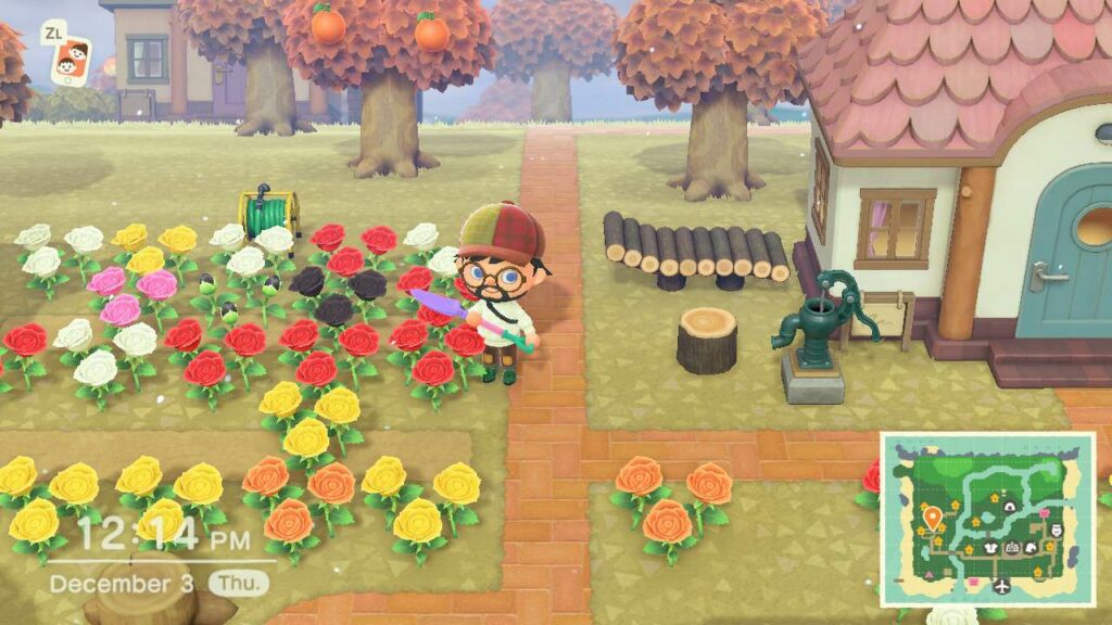 Comment faire pousser des fleurs dans Animal Crossing